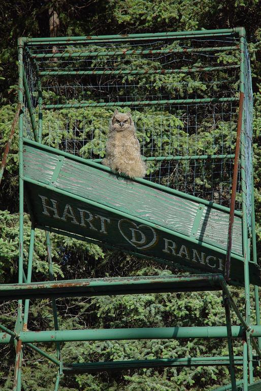 Hart D Ranch Vila Slana Exterior foto